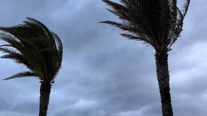 Miami Florida Tropical Rain