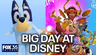 Bluey, Muppets Coaster open at Walt Disney World