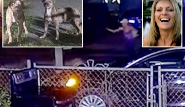 Fla. woman, 50, 'ripped apart' by neighbors' pit bulls who were known to terrorize the neighborhood