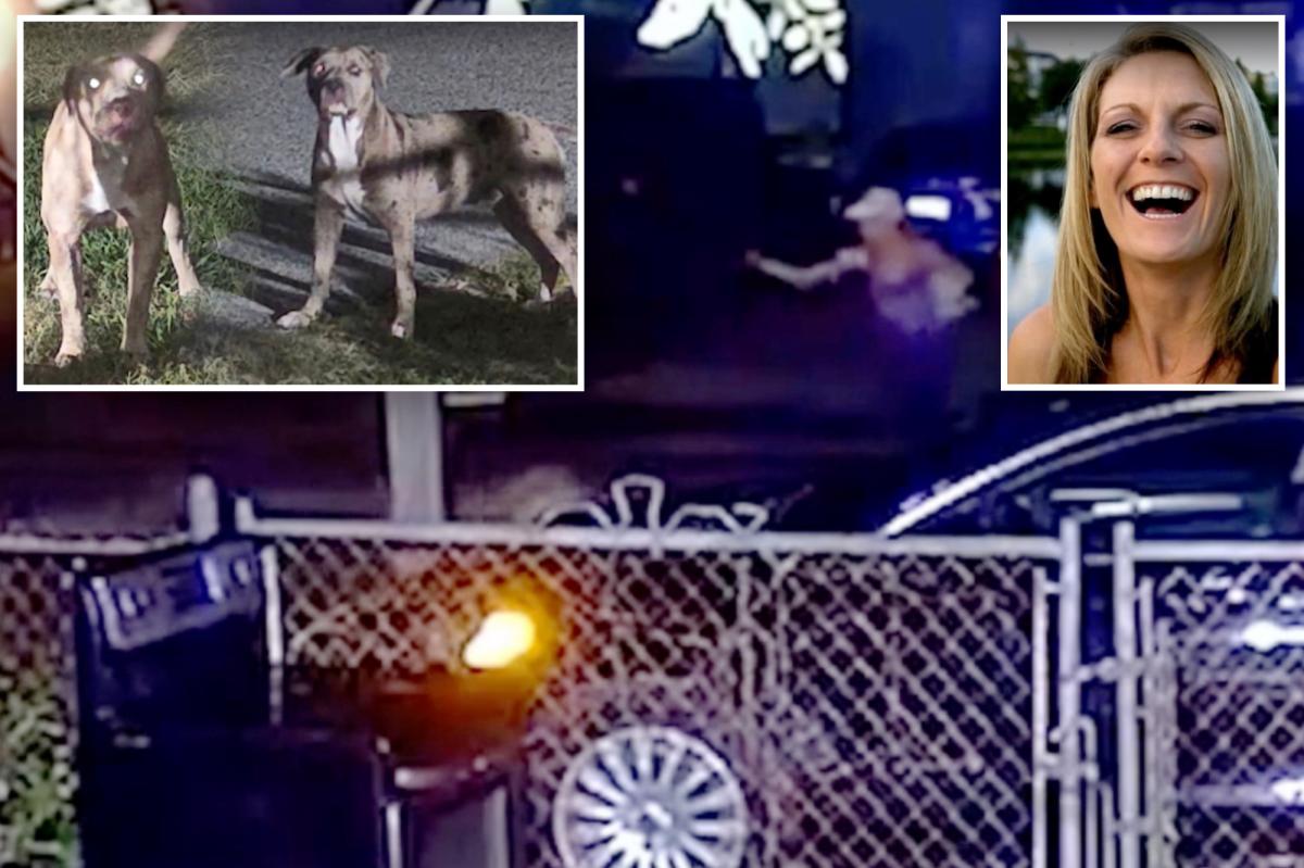 Fla. woman, 50, 'ripped apart' by neighbors' pit bulls who were known to terrorize the neighborhood