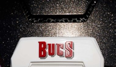 Tampa Bay Buccaneers logo