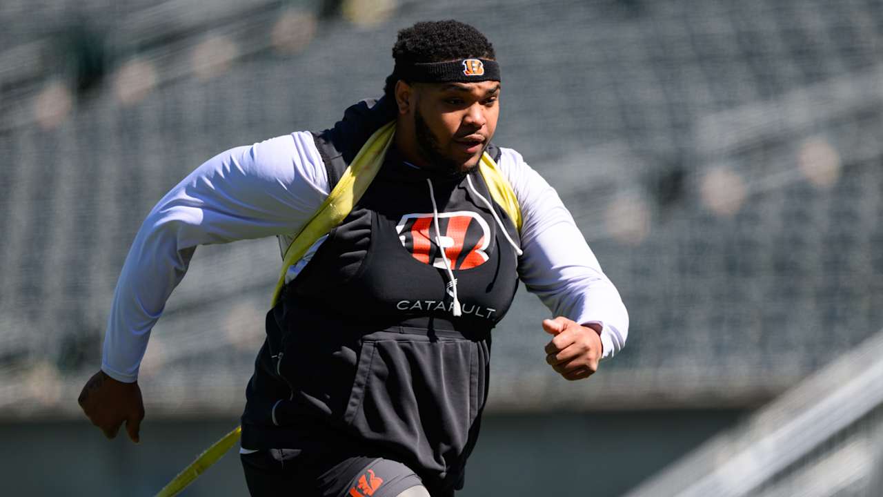 Cincinnati Bengals logo