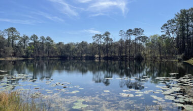 Nestled Between Orlando And Jacksonville Is Florida's Stunning State Park For Paddling And Trails