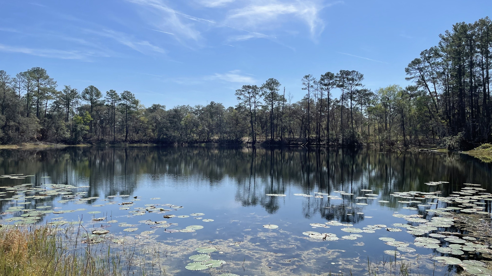 Nestled Between Orlando And Jacksonville Is Florida's Stunning State Park For Paddling And Trails