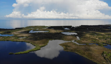 Between Tampa And The Gulf Coast Is A Florida State Park Gem With Fishing, Kayaking, And Salt Springs