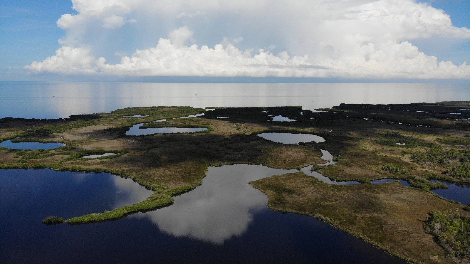 Between Tampa And The Gulf Coast Is A Florida State Park Gem With Fishing, Kayaking, And Salt Springs