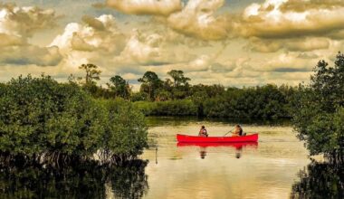 Florida's Gorgeous Park In Tampa Has Boardwalk Trails, Kayaking, And Wildlife Encounters