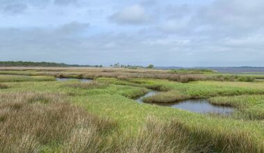 Florida's Gorgeous Gulf Coast Park Has Wildlife, Kayaking, And Fishing Under An Hour From Tallahassee