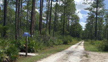 Just Outside Jacksonville Is A Florida State Forest With RV Camping Spots And Scenic Trails