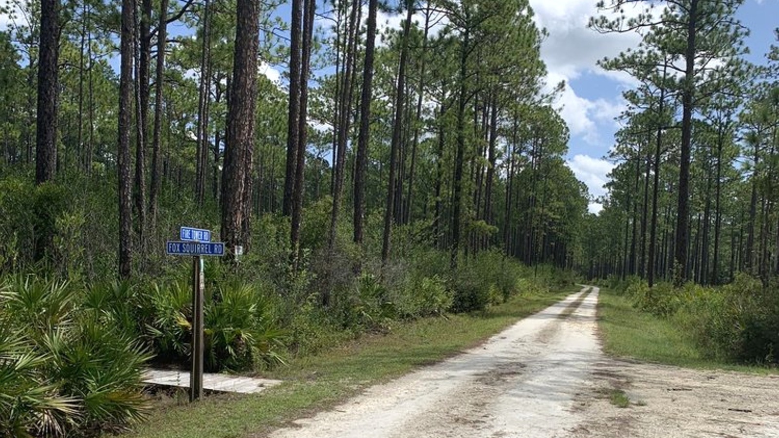 Just Outside Jacksonville Is A Florida State Forest With RV Camping Spots And Scenic Trails
