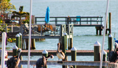 America's Best Fishing Trip For 2026 Sails To A Breezy Florida Gulf Coast Marina Near St. Pete