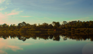 Between Tampa And Fort Myers Is Florida's Underrated Scenic State Park With Fishing, Hiking, And Paddling
