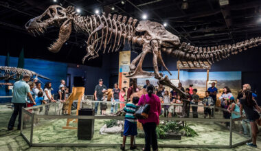 One Of Orlando's Best Museums Blends Kid-Friendly Interactive Exhibits With Fun Adults-Only Events
