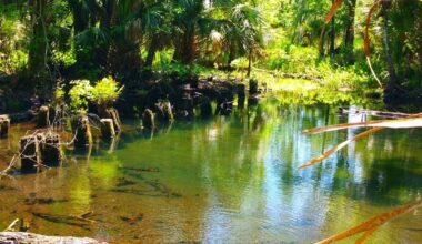 Florida's Scenic State Forest Near Orlando Is A Peaceful Escape With Off-The-Grid Camping, Fishing, And Trails
