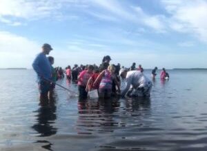 Lovers Key State Park Releases June Schedule - Beach Talk Radio News