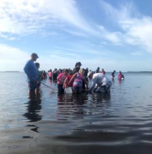 Lovers Key State Park Releases June Schedule - Beach Talk Radio News