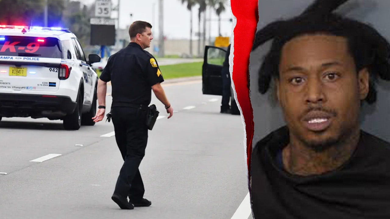 Florida deputies solve decade-old Tampa murder case with new DNA evidence: cops