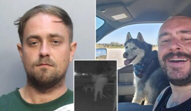 US Airman Andrew Beckham dog Maverick found dead inside car at Denver apartment dogsitter Andrew Jansen arrested in Florida