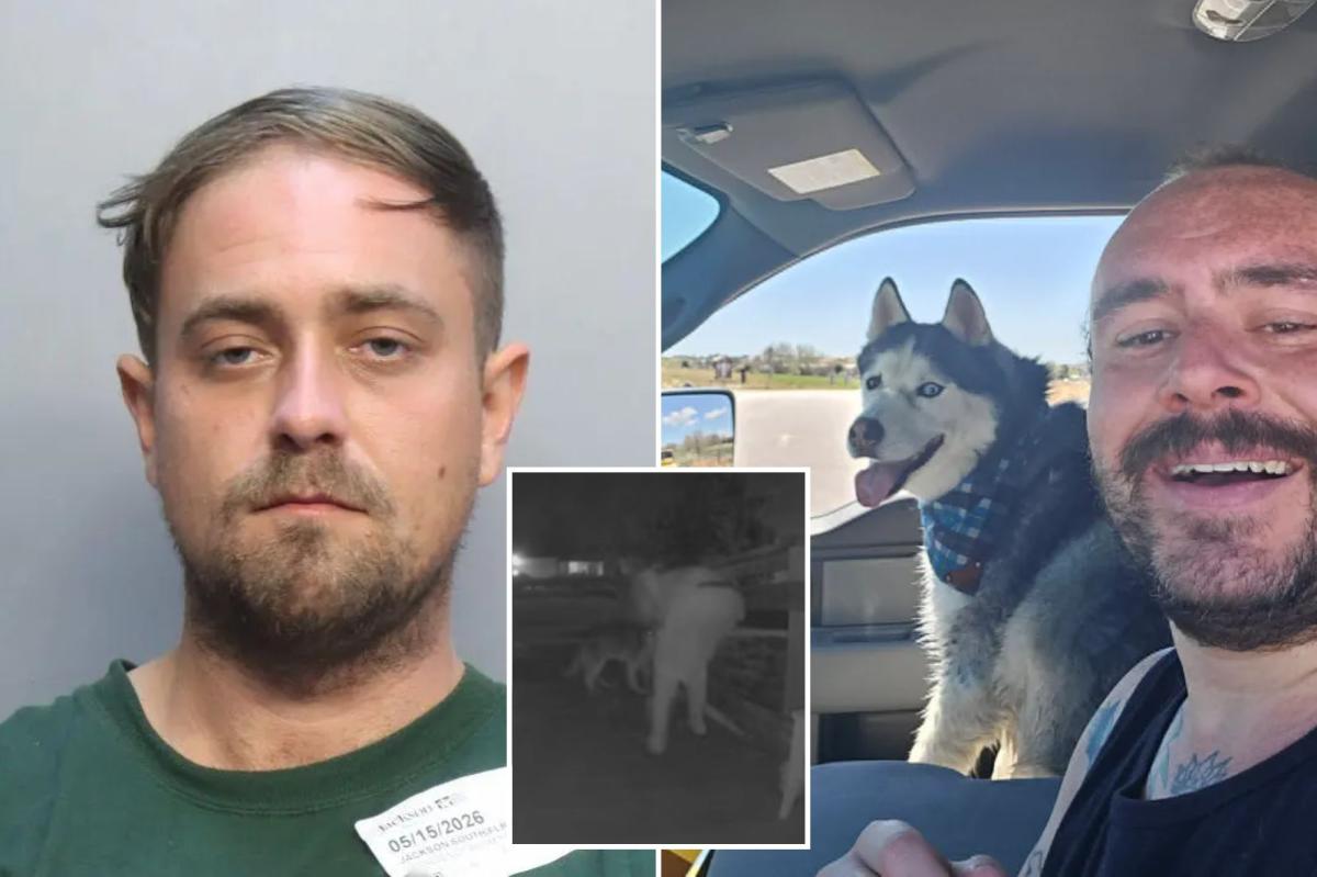US Airman Andrew Beckham dog Maverick found dead inside car at Denver apartment dogsitter Andrew Jansen arrested in Florida