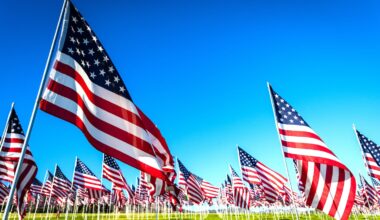 A large group of American flags. Veterans or Memorial day display