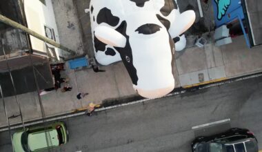 Udder joy! Milk Mart celebrating 10th anniversary