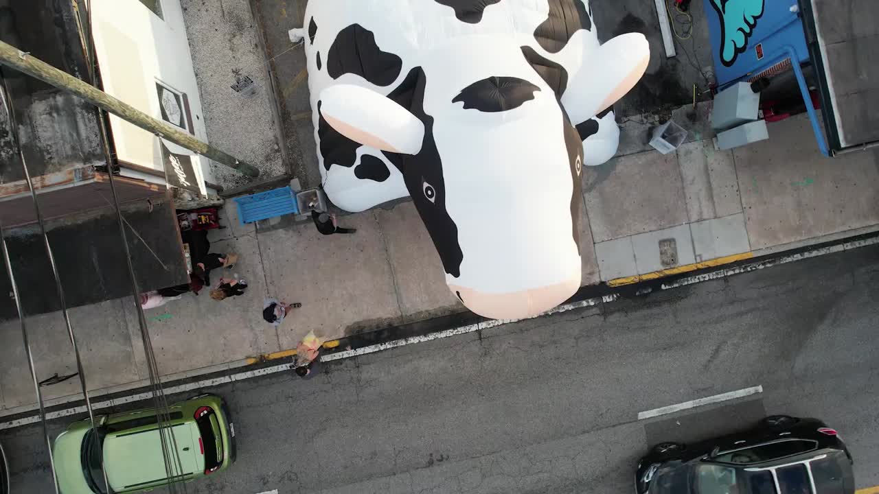 Udder joy! Milk Mart celebrating 10th anniversary