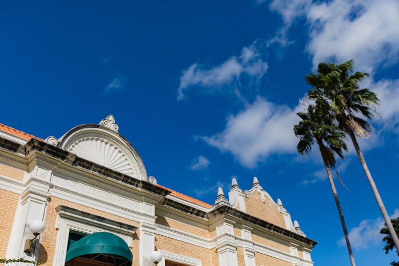 A bright daytime exterior photograph of the historic Mirror Lake Community Library in St. Petersburg, Florida. The classic Beaux-Arts style building features a prominent light-colored masonry facade adorned with grand arched windows, decorative columns, and intricate classical molding. Wide concrete steps lead up to the main entrance in the center. The building is framed by lush green palm trees and a clear blue sky in the background.