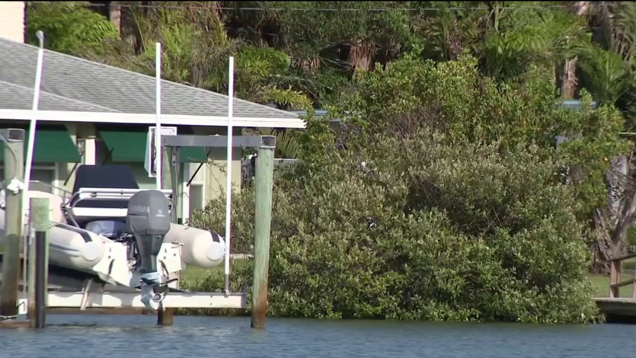 Living shoreline protections 