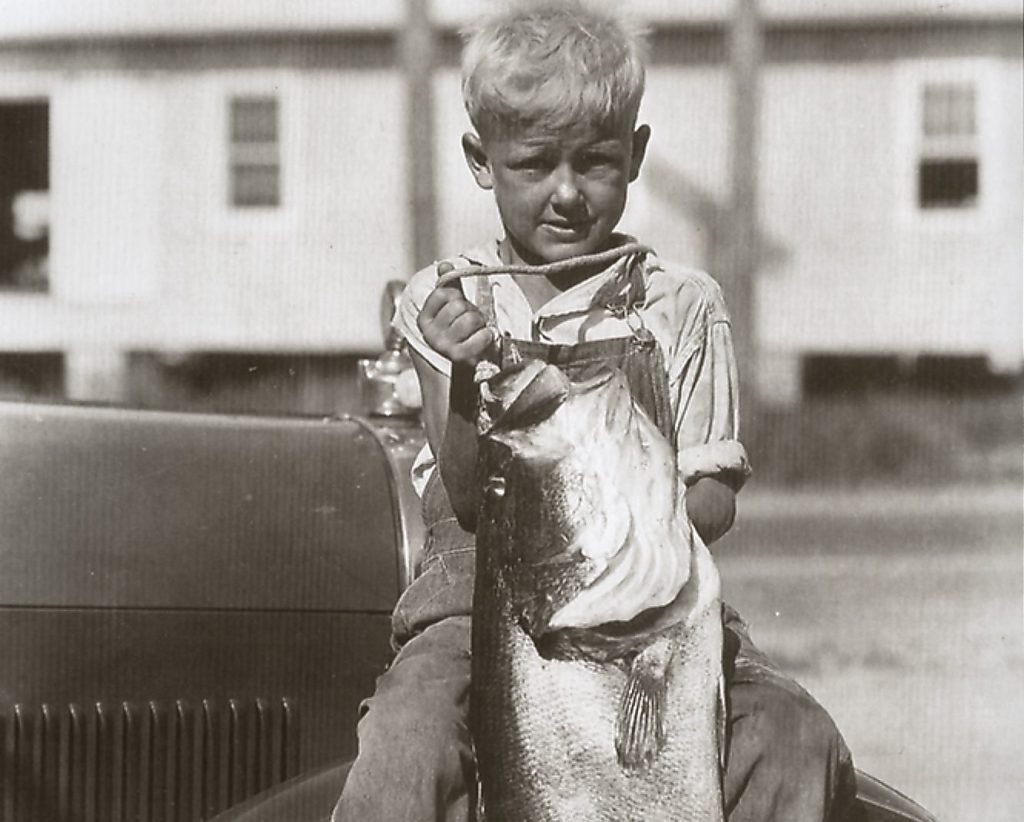 Orlando Sentinel 150: Friday Flashback to fishing on Lake Apopka – Orlando Sentinel