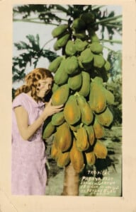 Papayas With Model 1930s Or 40s