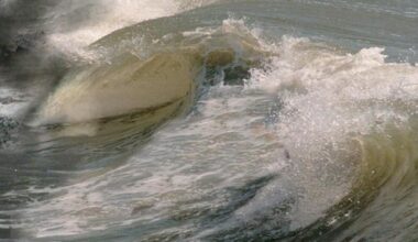 South Florida beaches could see sargassum, dangerous rip currents Memorial Day weekend – NBC 6 South Florida