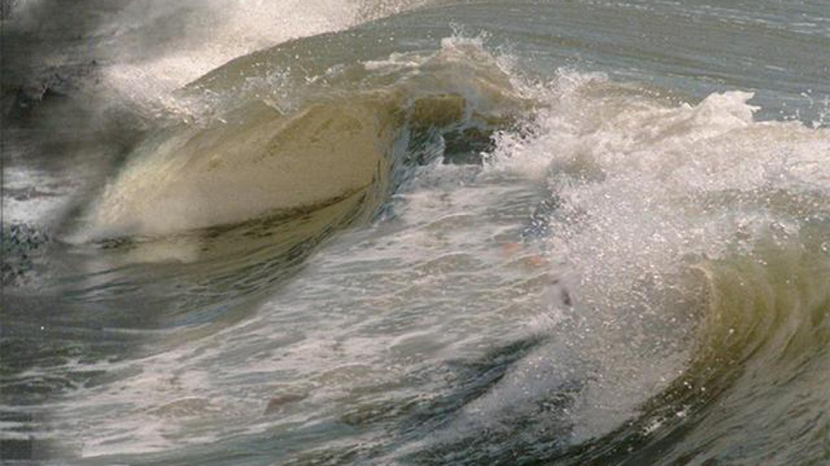 South Florida beaches could see sargassum, dangerous rip currents Memorial Day weekend – NBC 6 South Florida