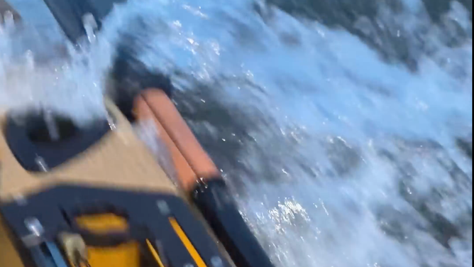 The kayak shook after being hit by the shark, 