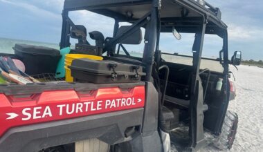 2026 sea turtle nesting season kicks off