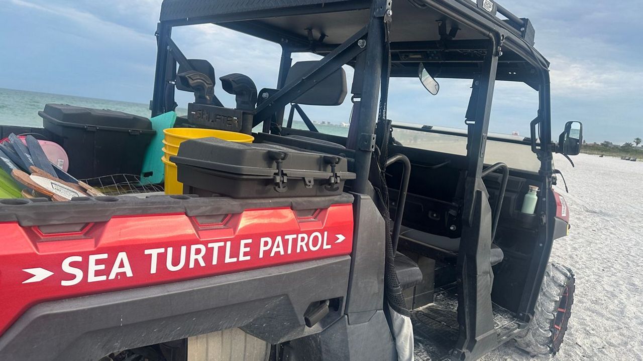 2026 sea turtle nesting season kicks off