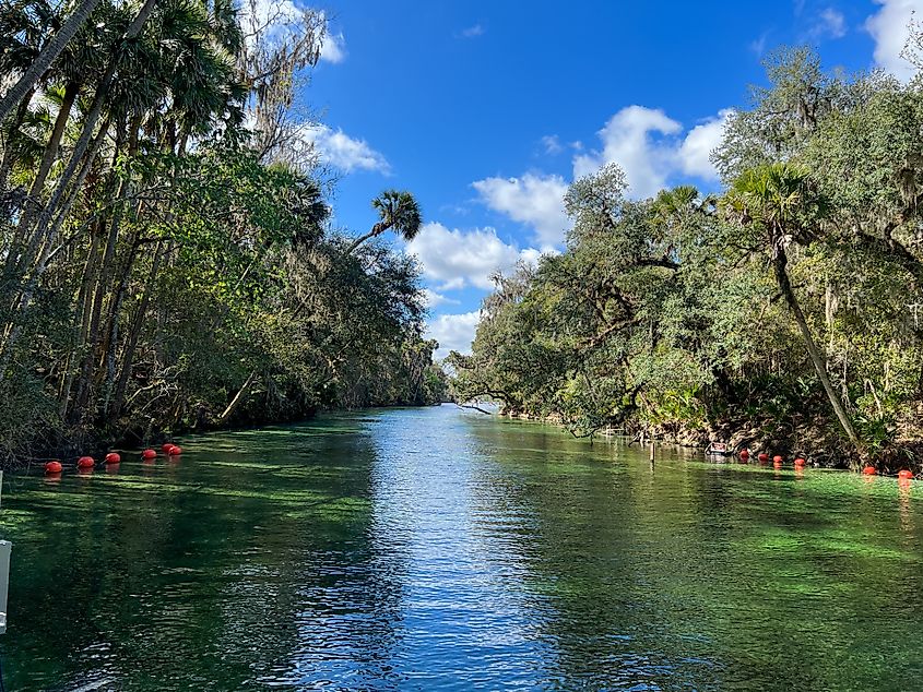 The crystal-clear spring at Blue Spring State Park in Orange City, Florida.