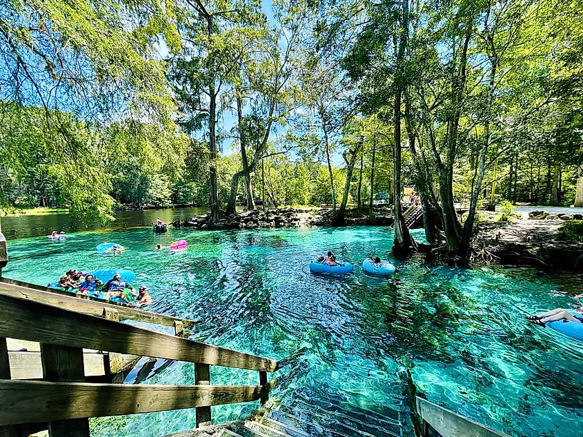 Swimmers in Ginnie Springs, near High Springs, Florida