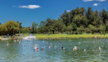 A 3.5-hour drive from Miami: Florida's only natural warm spring is known as the 'Miracle Lake' and stays 85 degrees year-round
