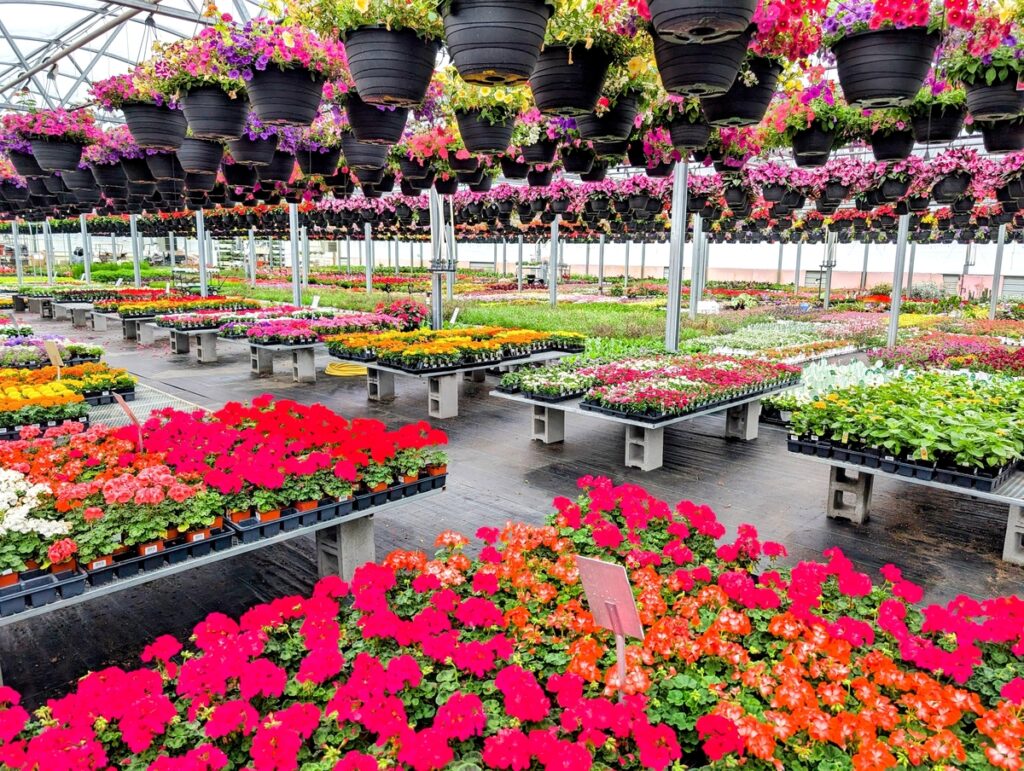 Plant nursery