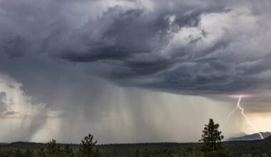 Small Hail, Tornadoes Possible For FL With Threatening SE Storms: Latest Forecast