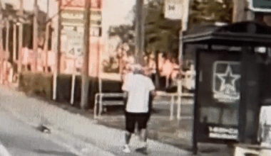 Florida man in 'No Christ No Life' T-shirt arrested for Tampa bus stop robbery