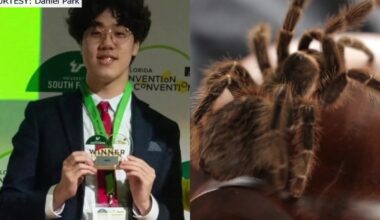 Can tarantula venom cure anxiety? Tampa teen's AI research wins Florida Invention Convention