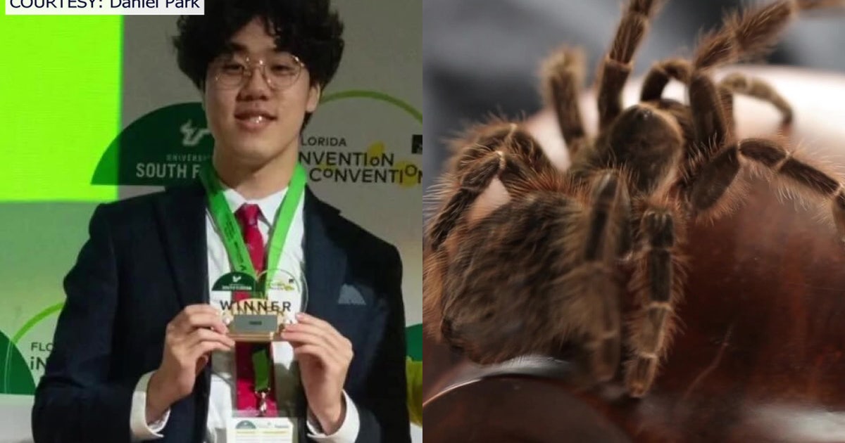 Can tarantula venom cure anxiety? Tampa teen's AI research wins Florida Invention Convention