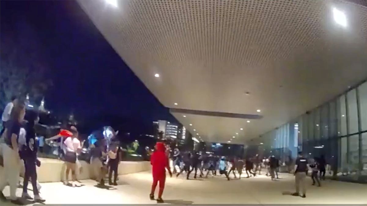 Authorities arresting individuals at Curtis Hixon Park in Tampa Florida