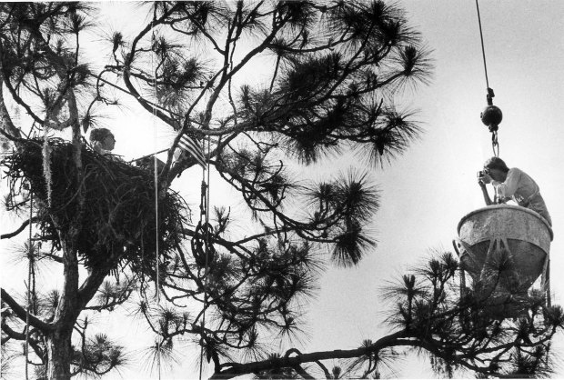 There'AOs likely never been nor will there ever be another environmentalist like the Eagle Lady, who passed through Central Florida recently for her final visit despite emotional pleas from fans that it not be the end. 'AUHow old are you,'asked an eager little boy, during her talk Saturday at Oakland Nature Preserve near Lake Apopka. 'AUI'AOm 90 and over,'Doris Mager answered. 'AUOn Oct. 25th, I'AOll be 91.'(Orlando Sentinel file)
