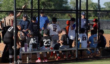 Orange schools to launch baseball, softball academy