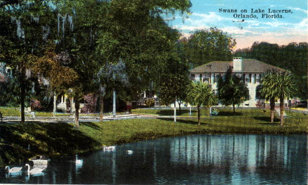 A postcard (circa 1900) shows swans swimming in Orlando's Lake...