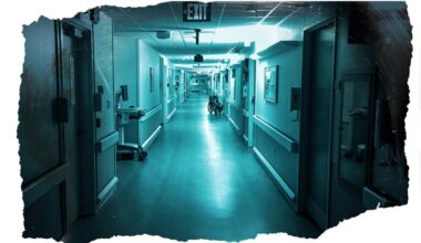 Florida fake-nurse diploma scandal shows erratic oversight