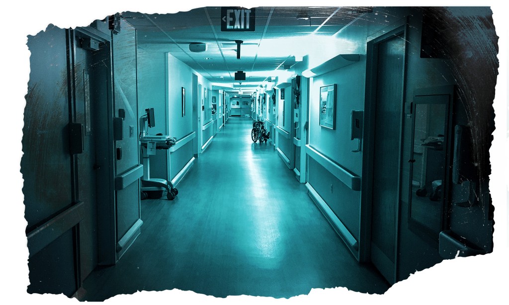 Florida fake-nurse diploma scandal shows erratic oversight