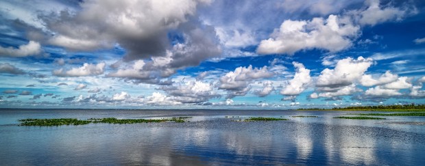 Lake Apopka viewed from the docks at Magnolia Park's new Eco Education Center, which features an inclusive playground, a fishing pier, a dock, a pavilion and restrooms, on Monday, August 8, 2022. (Ricardo Ramirez Buxeda/ Orlando Sentinel file)